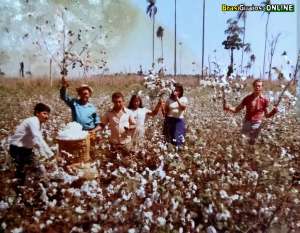 A JORNADA DE GERALDO AMORIM E SUA FAMÍLIA NO CULTIVO DO ALGODÃO NO PARAGUAI
